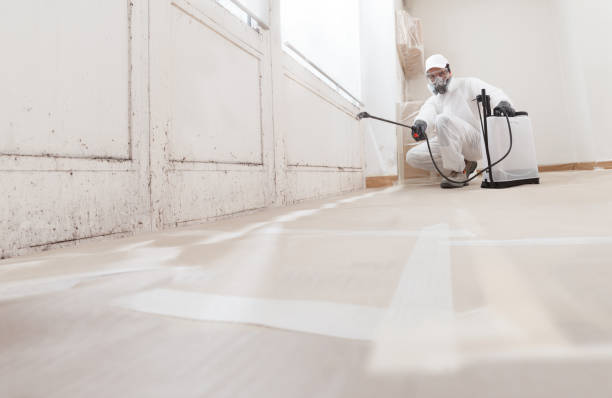 24/7 Emergency Mold Testing experts in Central City, PA