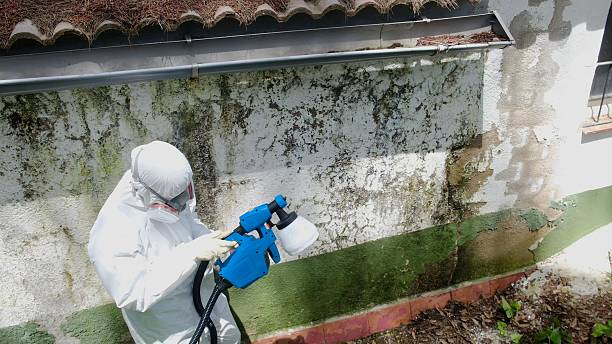 Trusted Mold Testing service in Central City, PA - Cheap Mold Removal